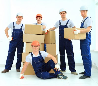 Professional storage environment for personal and business needs